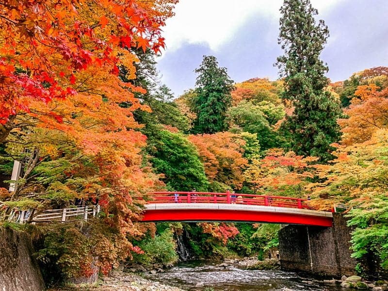 ภูเขานากาโนะ โมมิจิ (Nakano Momiji Mountain)