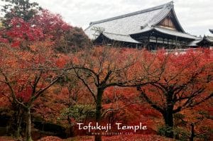 Tofuku-ji10