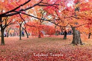 Tofuku-ji3