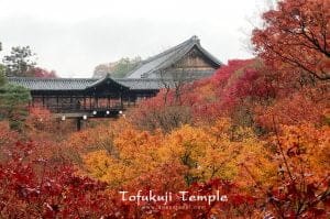 Tofuku-ji8