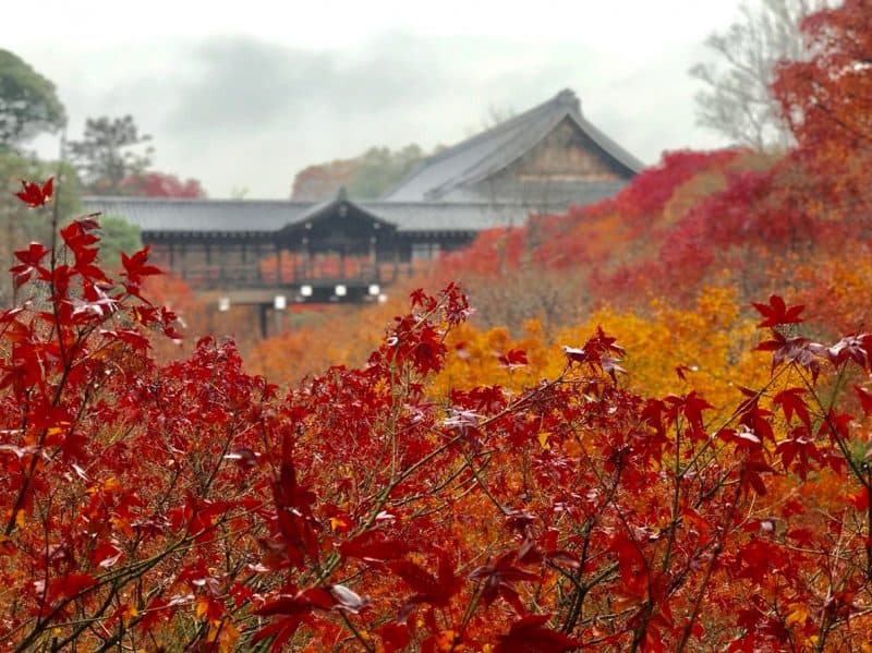 วัดโทฟุคุจิ (Tofuku-ji Temple)